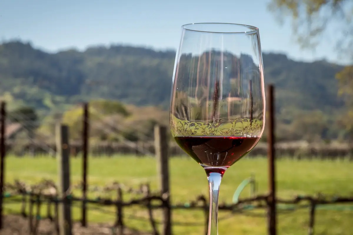  Viaggio in Napa Valley e Sonoma County: le cantine da non perdere