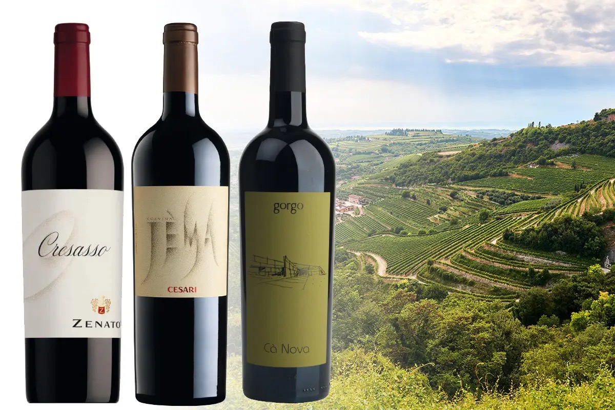  L’Italia del vino: tre grandi rossi veronesi a base di Corvina
